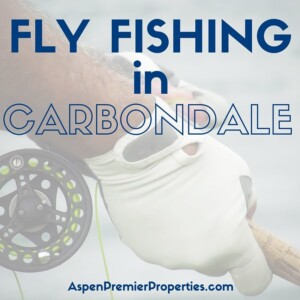 fly fishing carbondale co