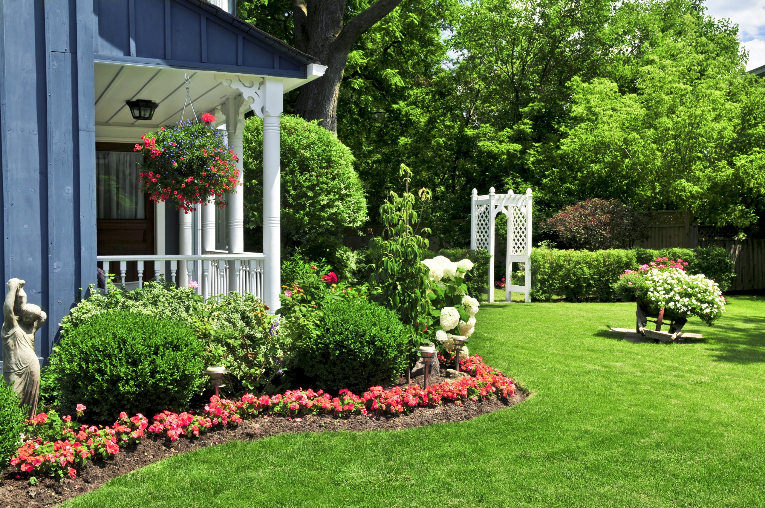 Should You Seed or Sod Your Lawn - Aspen Homes for Sale