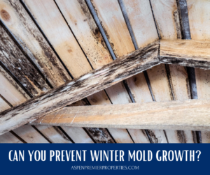 5 Tips for Preventing Mold Growth in Your Home This Winter