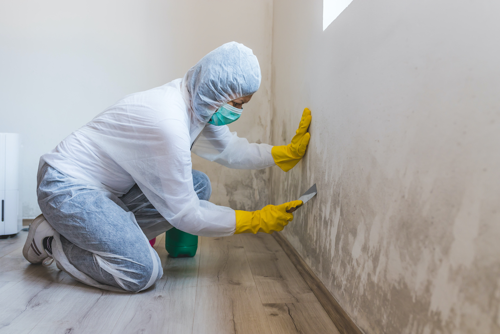 Contingency #4 to Never Waive: Mold Remediation