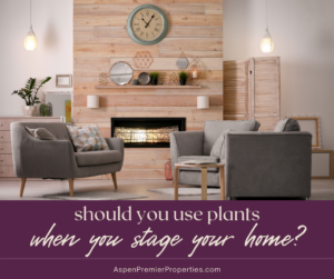 Should You Use Plants When You Stage Your Home?