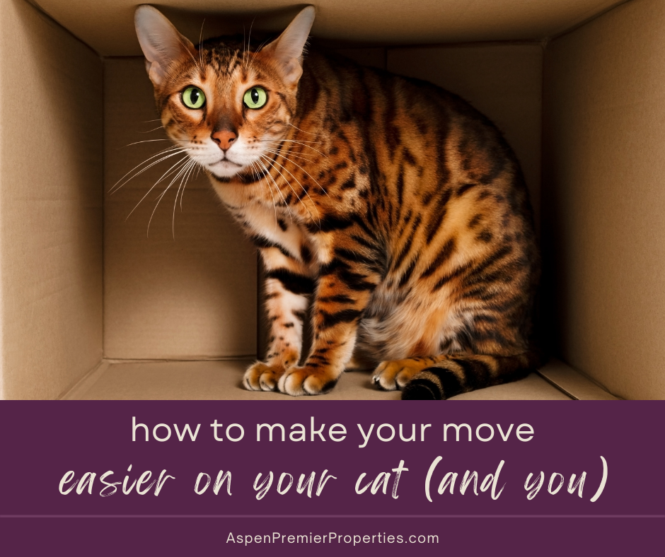 How to Make Your Move Easier on Your Cat
