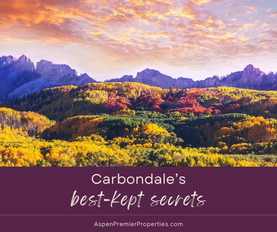 Carbondale's Best Kept Secrets: Discovering Hidden Gems