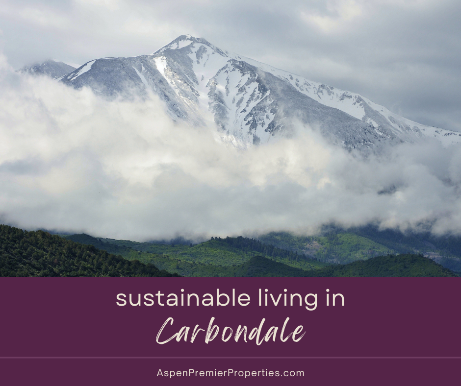 Sustainable Living in Carbondale
