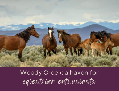 Woody Creek: A Haven for Equestrian Enthusiasts and Luxury Living